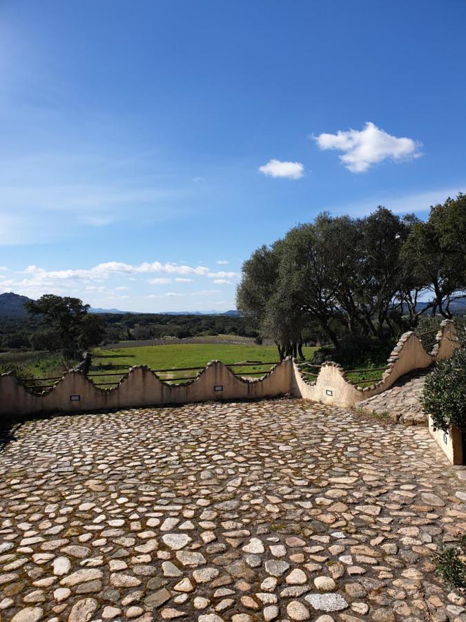 Cantina Perandria Monti Extérieur photo